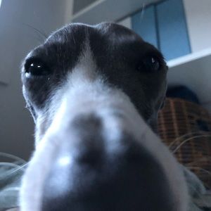 Meet your Posher, Alessia